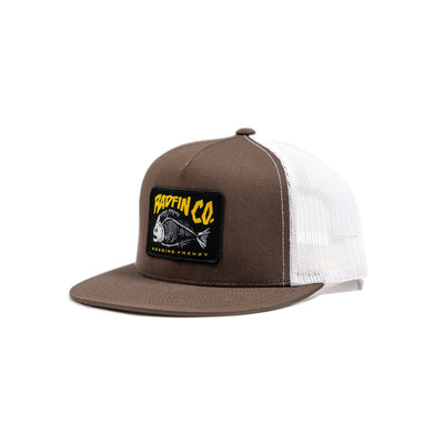 Feeding Frenzy Trucker
