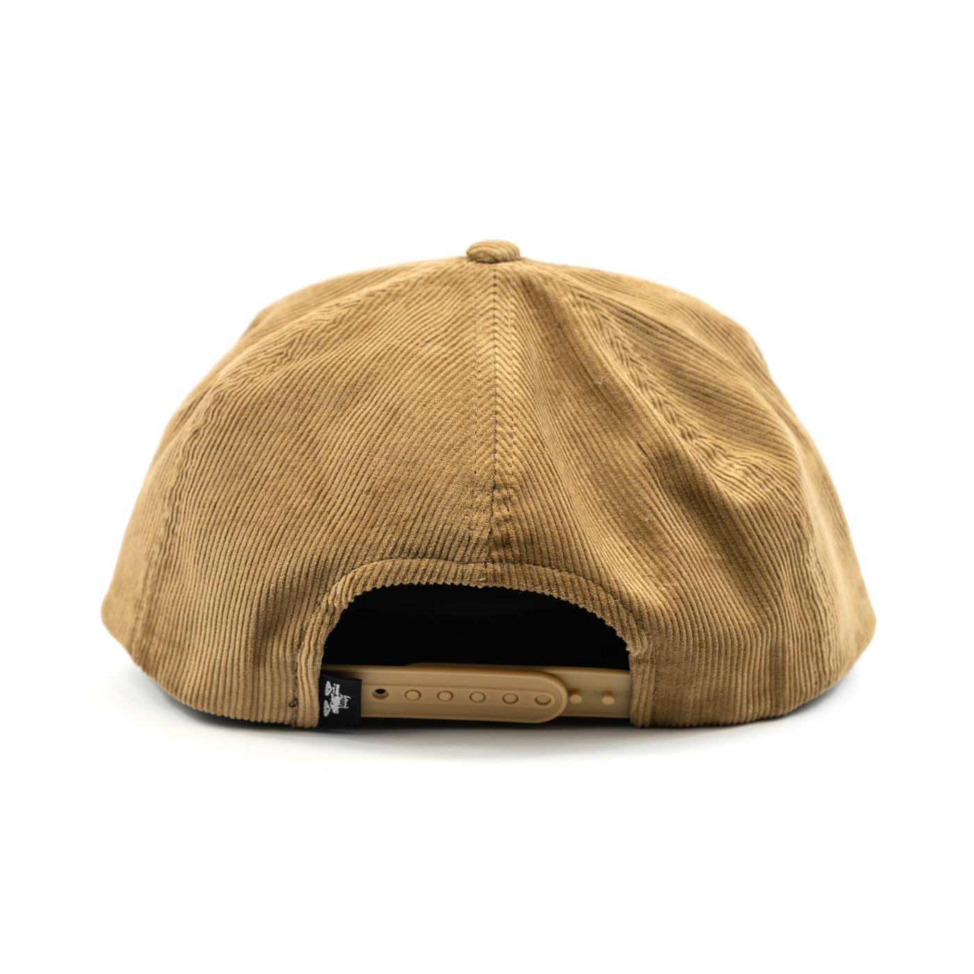 Fresh Daily Snapback